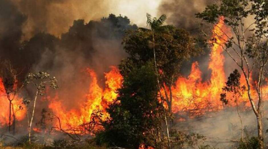 آمار آتش‌سوزی‌ جنگل‌های ایران