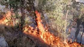 مهار آتش‌سوزی جنگل‌های شهرستان دنا