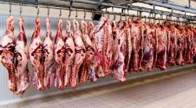 سرانه مصرف گوشت در کشور نصف شد