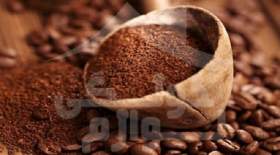 کشت قهوه در استان فارس