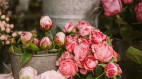 قیمت گل رز برای روز مادر