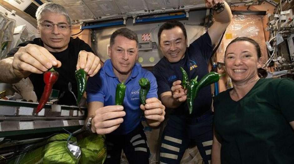جایزه ناسا برای حل مشکل غذای فضانوردان