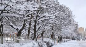 بارش برف و باران در بیشتر استان‌های کشور