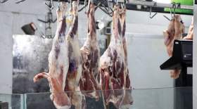 قیمت گوشت را مافیا تعیین می‌کند