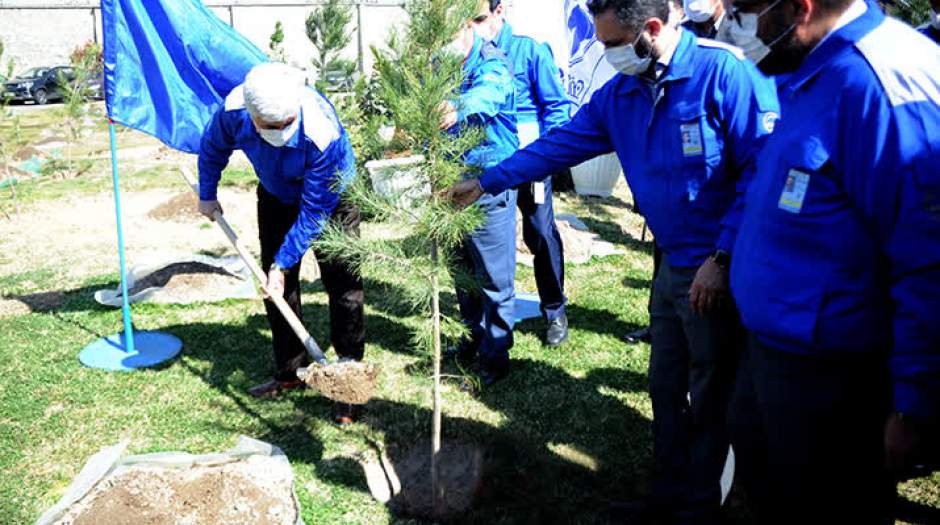 کاشت ۶۰۰ اصله نهال در شرکت ایران خودرو