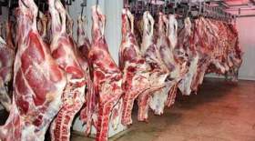 مافیای گوشت اجازه کاهش قیمت را نمی‌دهد!
