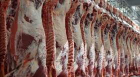 مافیا اجازه کاهش قیمت گوشت را نمی‌دهد