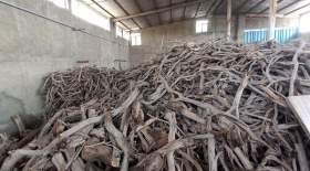 کشف و ضبط بیش از ۳۰ تن چوب قاچاق