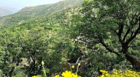 طبیعت بکر "سردشت"  <img src="/images/picture_icon.gif" width="16" height="13" border="0" align="top">