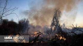 احتمال آتش‌سوزی در جنگلهای خوزستان