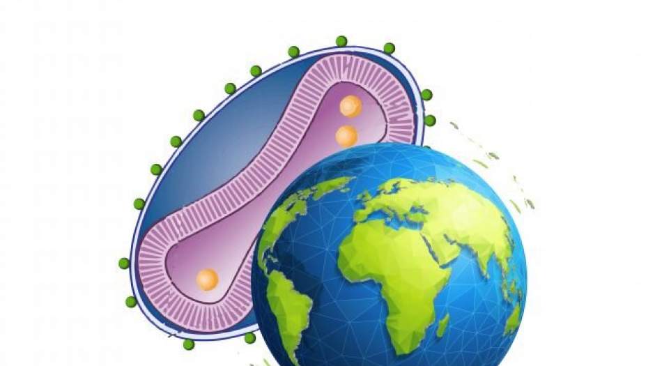 آبله میمونی دو سویه دارد