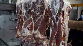 قیمت گوشت قرمز در سه ماه گذشته چقدر گران شد؟