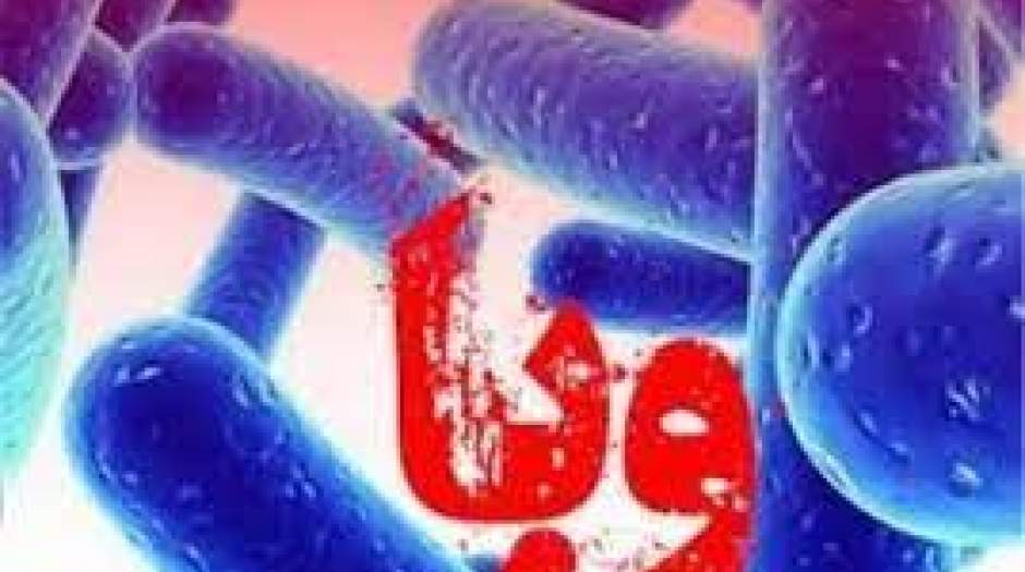 آمار قطعی ابتلا به وبا در کشور اعلام شد