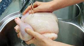 آیا شستن مرغ بیماری زاست؟