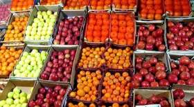 افزایش 40 تا 50 درصدی قیمت میوه