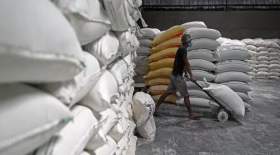 هند صادرات آرد را محدود می‌کند