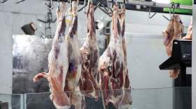 واردات گوشت از پاکستان واقعیت دارد؟