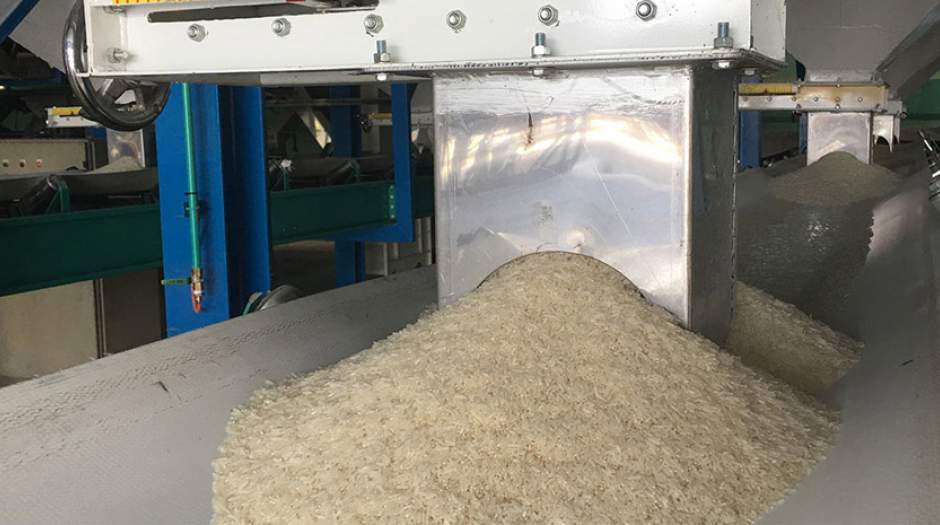 مراحل تولید برنج در کارخانه شالیکوبی