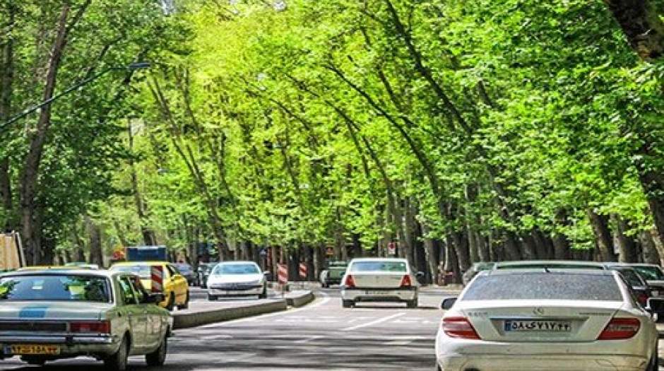 جریمه قطع درختان خیابان ولیعصر چقدر است؟