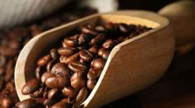 فواید جالب قهوه؛ از خوشبو کننده‌ یخچال تا تقویت خاک گیاهان