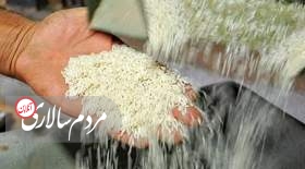 2 اقدام استراتژیک دولت برای کاهش قیمت برنج در بازار