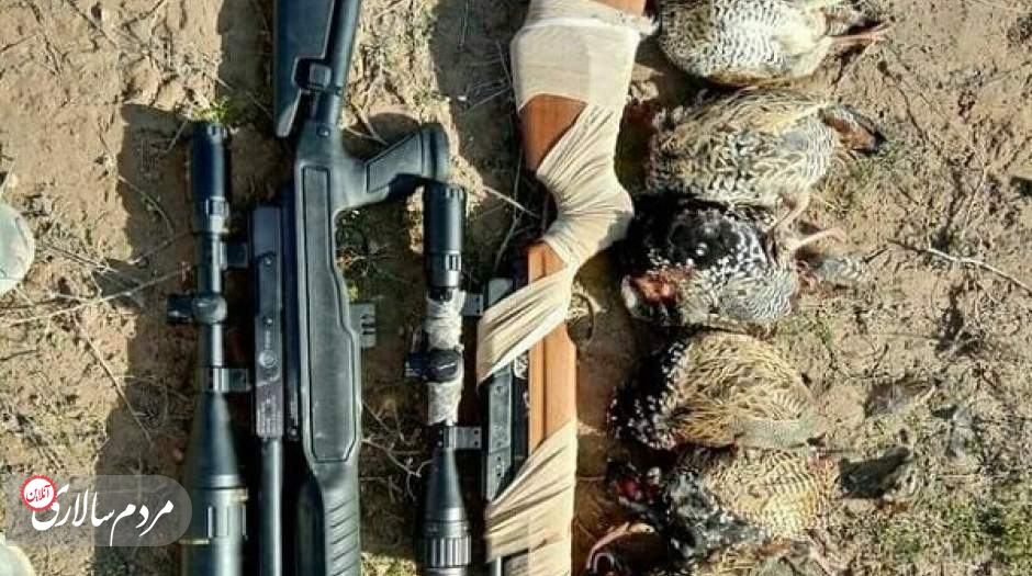 شکارچیان غیرمجاز در تهران دستگیر شدند