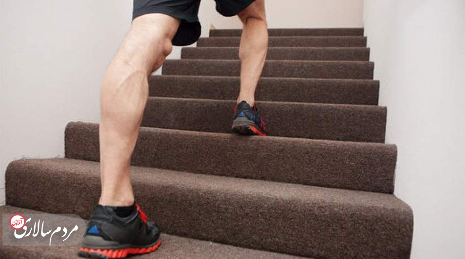 جلوگیری از کوچک شدن مغز با بالا رفتن از پله ها!