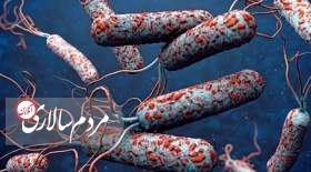 شناسایی ۲ مورد ابتلا به وبا در مرز مهران