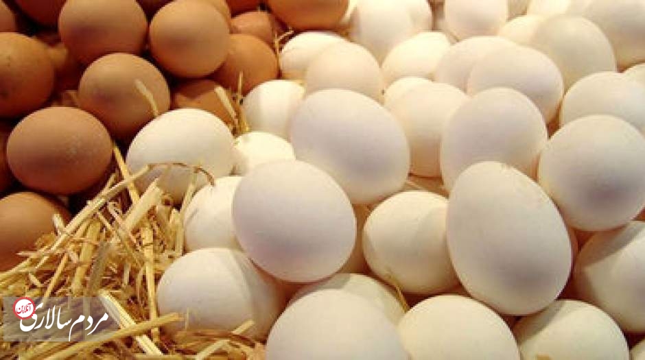 آخرین قیمت تخم مرغ در میادین اعلام شد