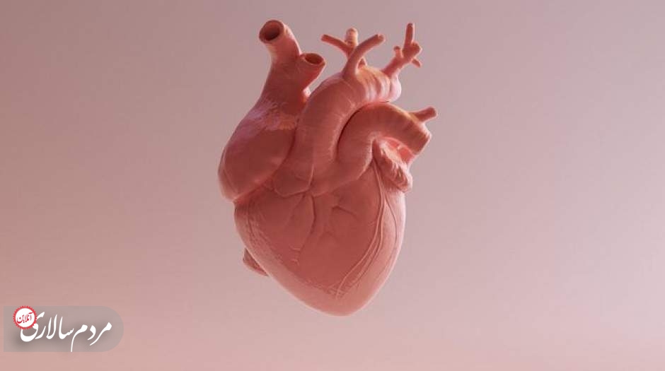 بیماری قلبی سالانه جان ۱۸.۶ میلیون نفر را در جهان می‌گیرد