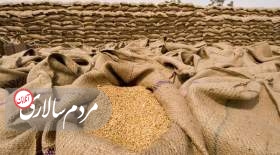 واردات 208 هزار و 660 تن گندم از انگلستان