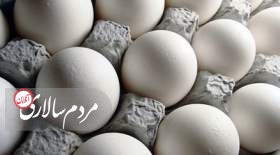 تلاش اتحادیه مرغ تخم‌گذار برای افزایش قیمت تخم مرغ