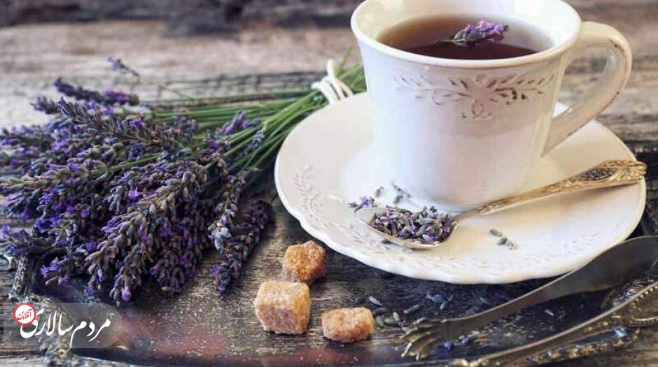 گیاهان خواب آور را بشناسید