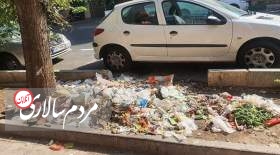 ماجرای سطل‌های زباله در تهران