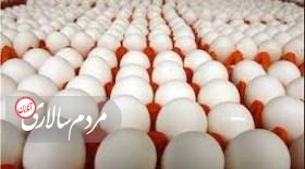 فروش تخم مرغ بالای ۹۰ هزار تومان تخلف است
