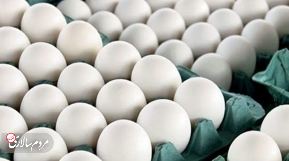 شانه دو کیلویی تخم مرغ،۷۹ هزار و ۶۰۰ تومان