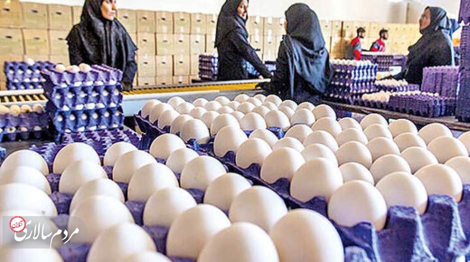 وعده‌های دولت برای اصلاح نرخ تخم‌مرغ عملیاتی نشد