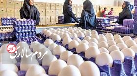 وعده‌های دولت برای اصلاح نرخ تخم‌مرغ عملیاتی نشد