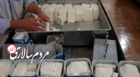 قیمت انواع پنیر صبحانه در بازار