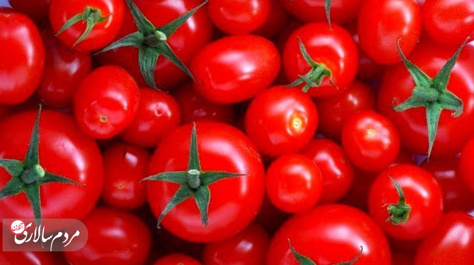 چرا گوجه فرنگی گران شده؟