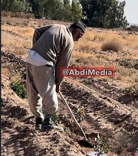 وزیر کشاورزی خاتمی و روحانی با بیل و لباس کار در زمین کشاورزی