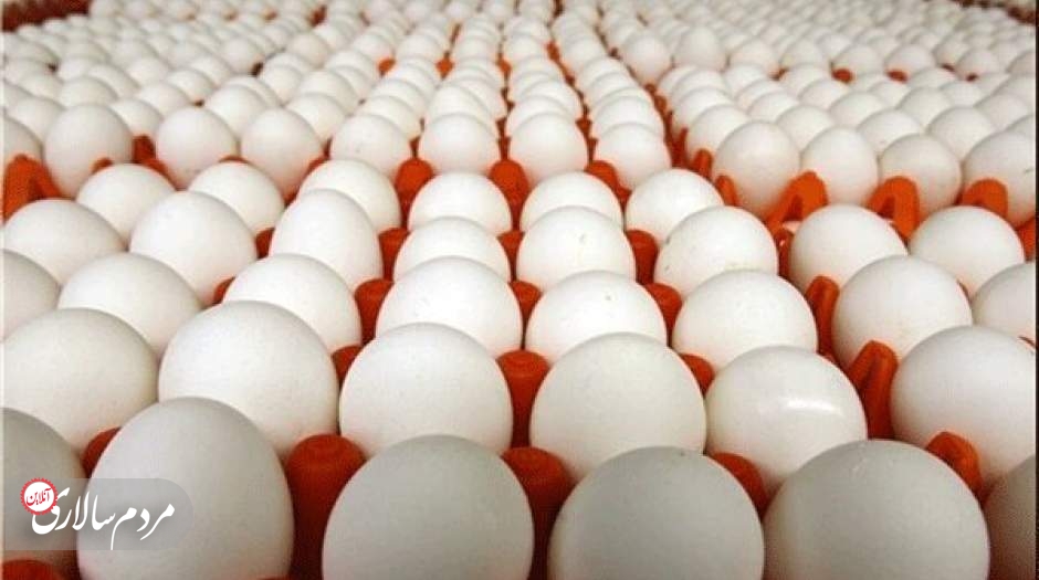 فروش هرشانه تخم مرغ بالاتر از ۷۶ هزار تومان تخلف است