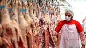 گوشت گوسفند باز هم گران شد