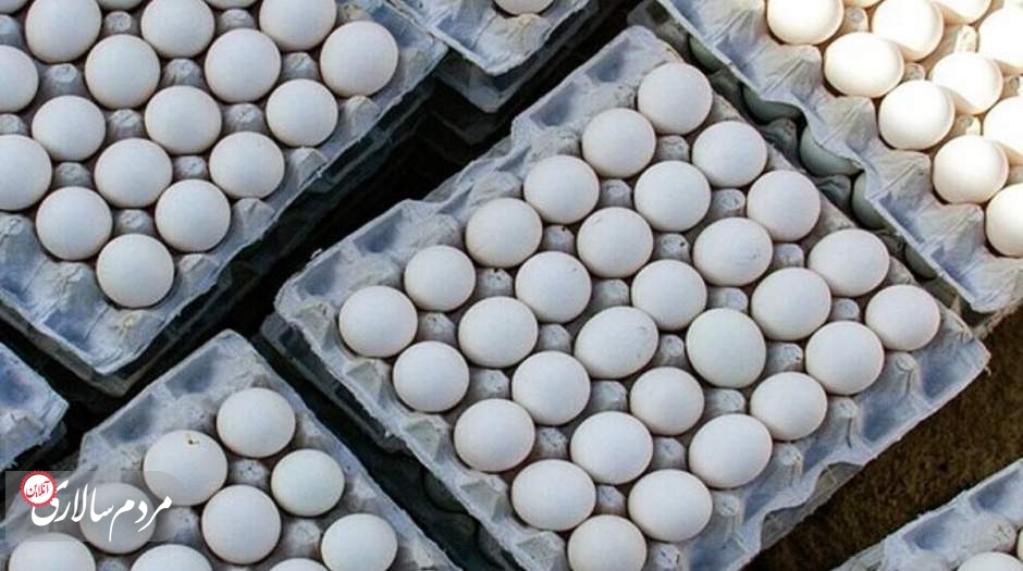 تخم مرغ گران شد؛دلیل بالا رفتن قیمت در دو هفته اخیر چیست؟