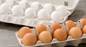 جدیدترین قیمت تخم‌ مرغ در بازار و میادین