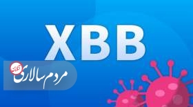 از واریانت جدید XBB.1.5 چه می‌دانیم؟