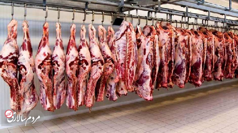 فروش سراسری گوشت گرم وارداتی آغاز شد