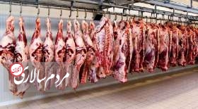 فروش سراسری گوشت گرم وارداتی آغاز شد