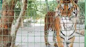 باغ‌وحش‌های کشور درجه‌بندی می‌شوند