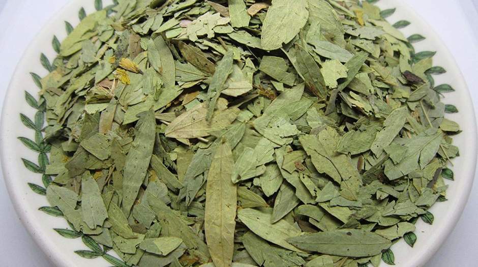 معجزه این گیاه برای لاغری!
